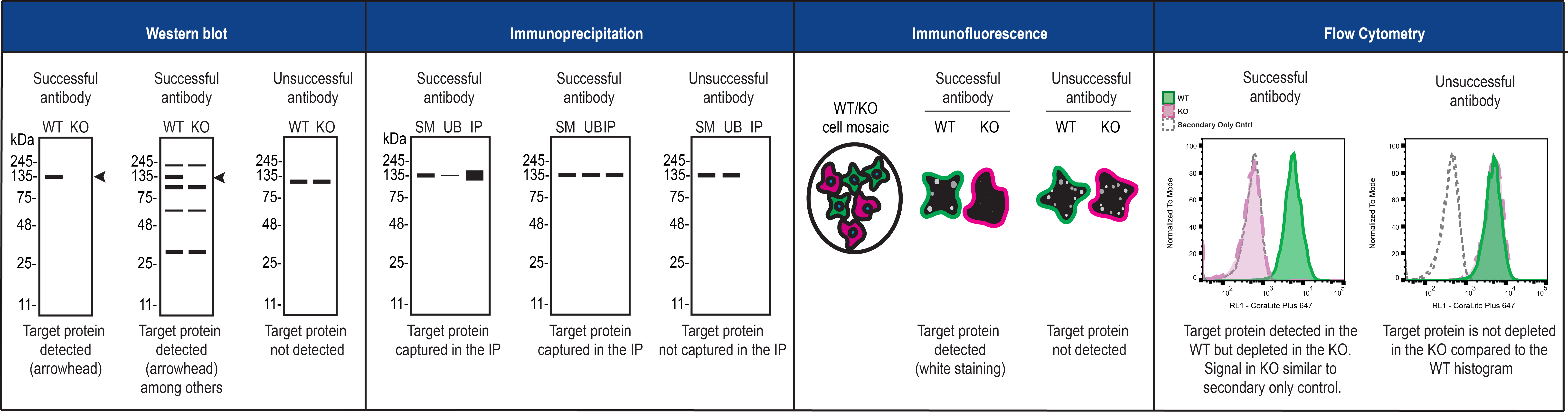 Educational Resources
