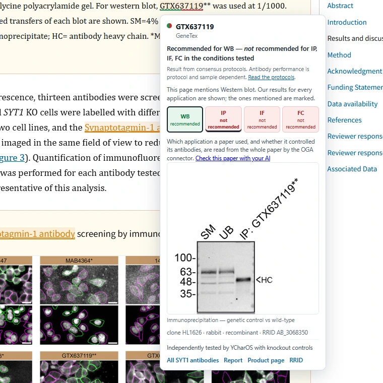The same card with the immunoprecipitation tab selected, showing starting material, unbound and IP lanes.